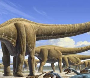 The largest sponge. | Facts.DinoAnimals.com