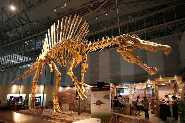 largest known dinosaur